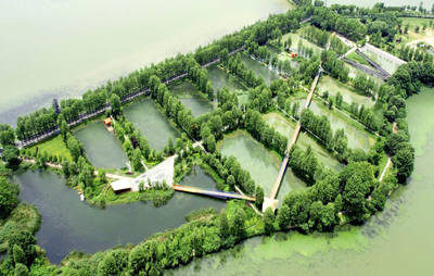 华侨城湿地公园水生态修复提升改造工程