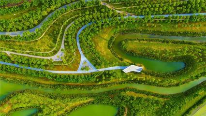 中国三亚红树林生态修复工程获2019AZ最佳景观奖